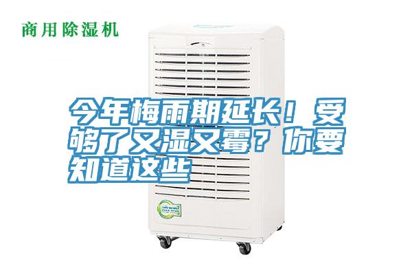 今年梅雨期延長!受夠了又濕又霉?你要知道這些