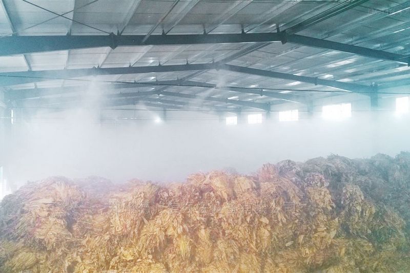 提升煙葉加工質(zhì)量，高效回潮很重要
