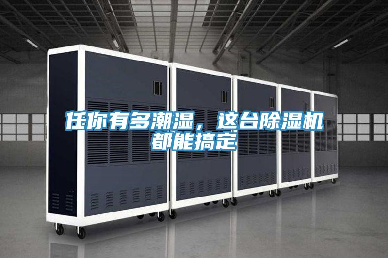 任你有多潮濕,這臺除濕機都能搞定