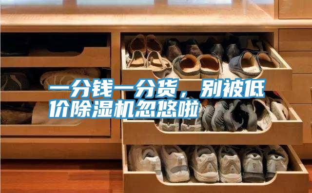 一分錢(qián)一分貨,別被低價(jià)除濕機(jī)忽悠啦