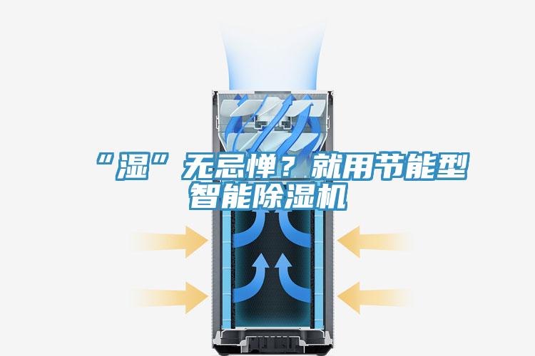 “濕”無忌憚?就用節能型智能除濕機