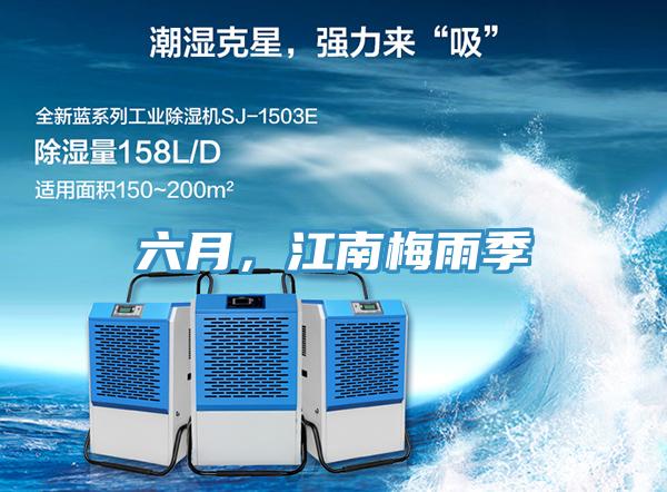 六月,江南梅雨季