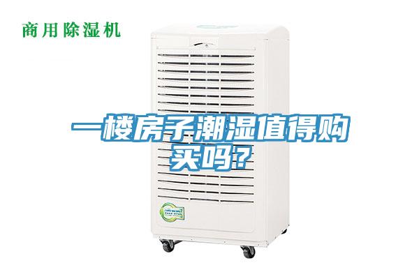 一樓房子潮濕值得購買嗎?