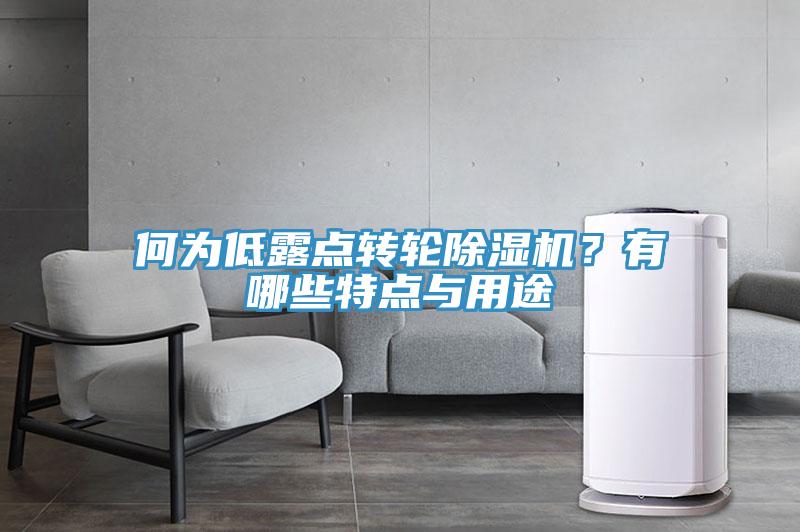 何為低露點轉(zhuǎn)輪除濕機？有哪些特點與用途