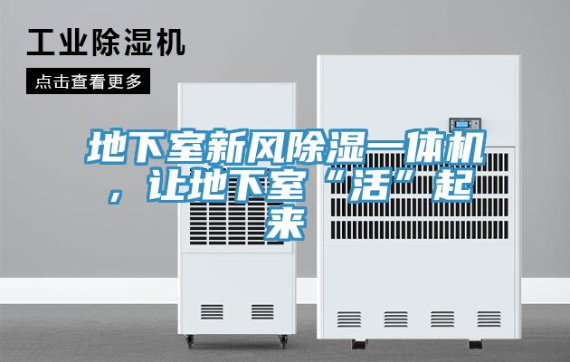 地下室新風(fēng)除濕一體機,讓地下室“活”起來