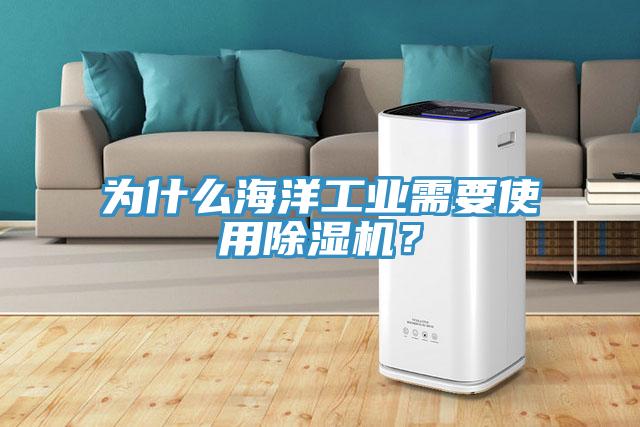 為什么海洋工業(yè)需要使用除濕機?