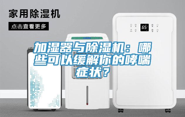 加濕器與除濕機:哪些可以緩解你的哮喘癥狀?