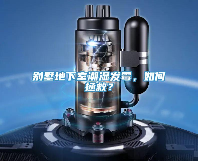 別墅地下室潮濕發霉,如何拯救?