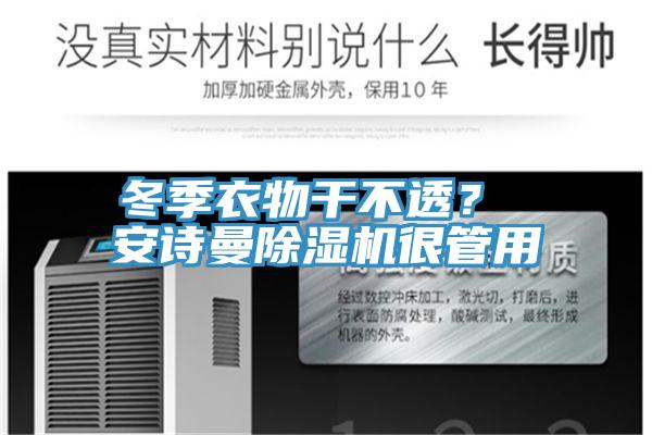 冬季衣物干不透? 安詩曼除濕機很管用