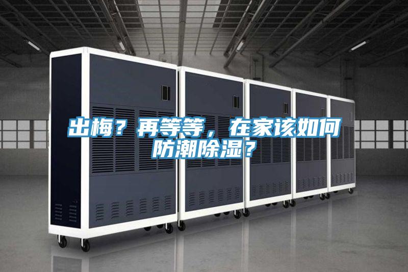 出梅?再等等,在家該如何防潮除濕?