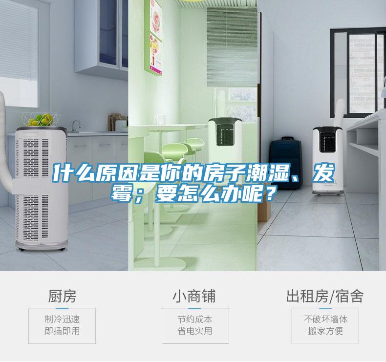 什么原因是你的房子潮濕、發(fā)霉;要怎么辦呢?