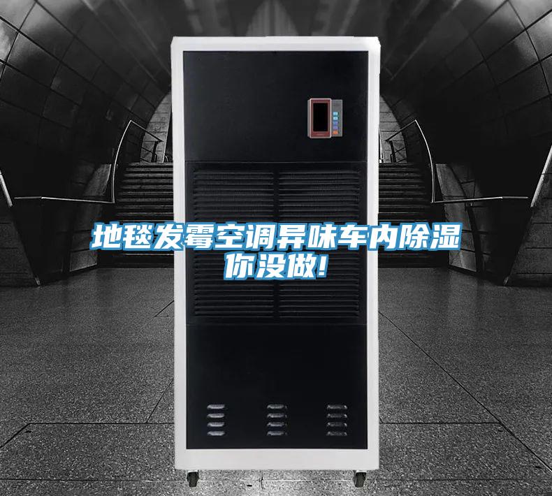 地毯發霉空調異味車內除濕你沒做!