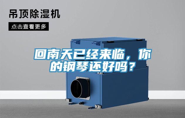 回南天已經來臨，你的鋼琴還好嗎？