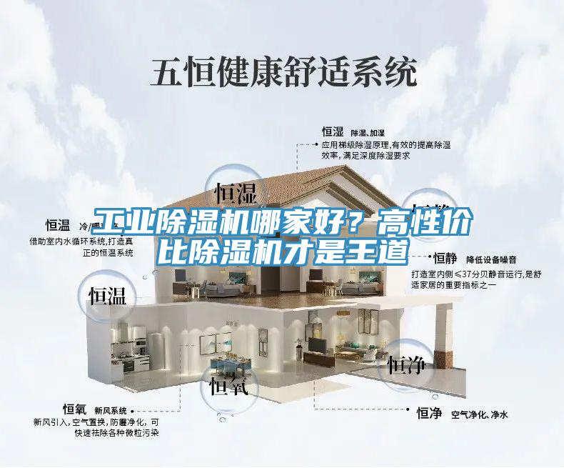 工業除濕機哪家好？高性價比除濕機才是王道