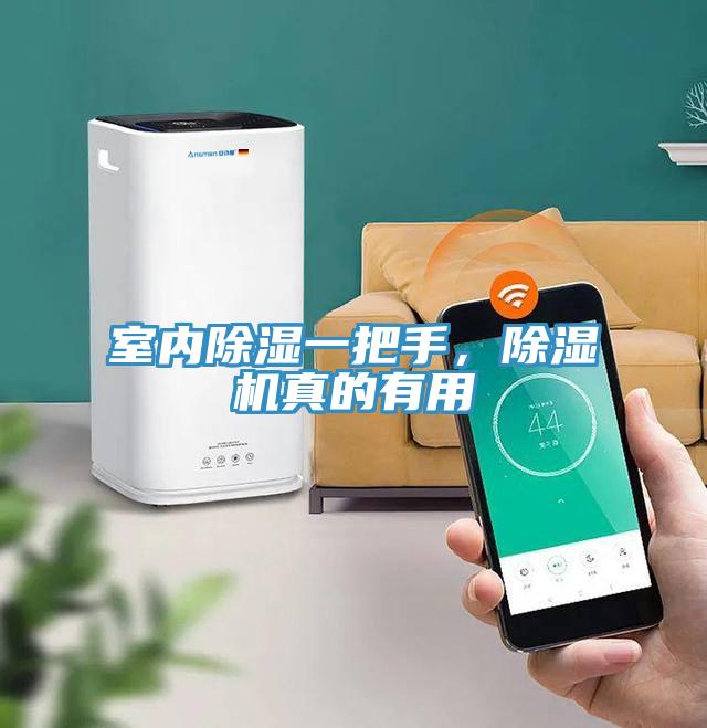 室內除濕一把手,除濕機真的有用