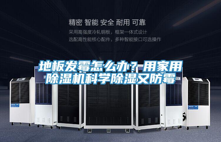 地板發霉怎么辦？用家用除濕機科學除濕又防霉