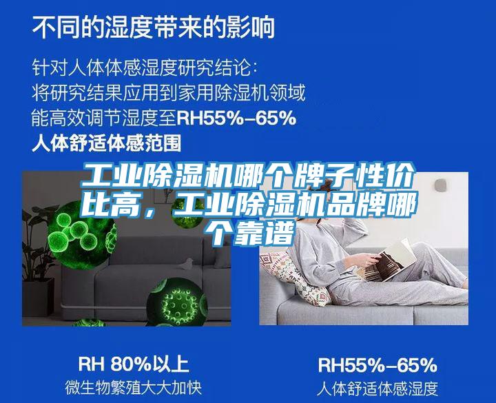 工業(yè)除濕機(jī)哪個(gè)牌子性價(jià)比高，工業(yè)除濕機(jī)品牌哪個(gè)靠譜