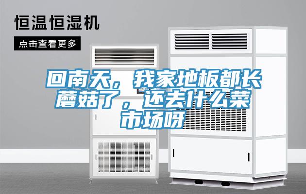 回南天，我家地板都長(zhǎng)蘑菇了，還去什么菜市場(chǎng)呀