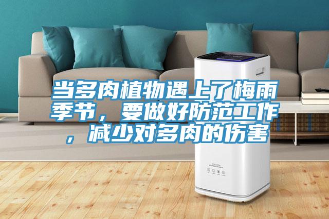 當多肉植物遇上了梅雨季節，要做好防范工作，減少對多肉的傷害