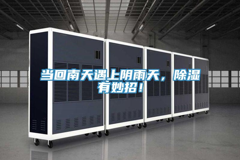 當回南天遇上陰雨天，除濕有妙招！