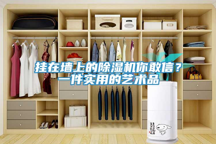 掛在墻上的除濕機你敢信？一件實用的藝術(shù)品