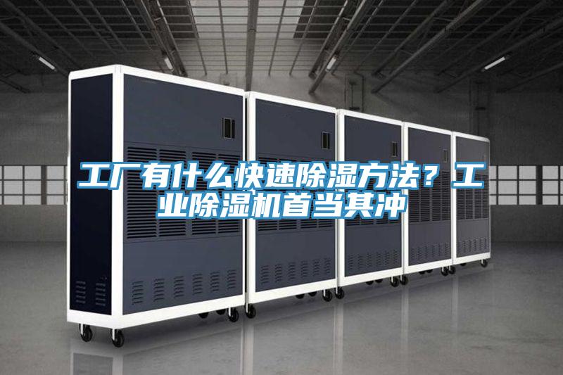 工廠有什么快速除濕方法？工業除濕機首當其沖