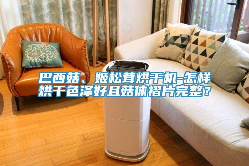 巴西菇、姬松茸烘干機-怎樣烘干色澤好且菇體褶片完整?