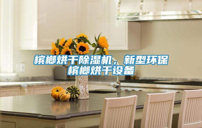 檳榔烘干除濕機，新型環(huán)保檳榔烘干設(shè)備