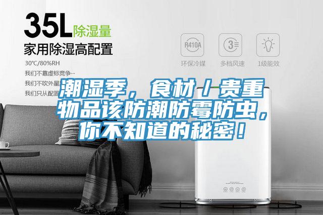 潮濕季，食材／貴重物品該防潮防霉防蟲，你不知道的秘密！