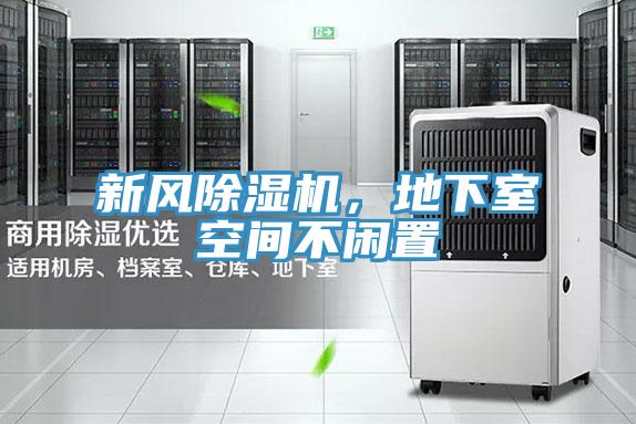 新風除濕機,地下室空間不閑置