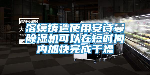 溶模鑄造使用安詩曼除濕機可以在短時間內加快完成干燥