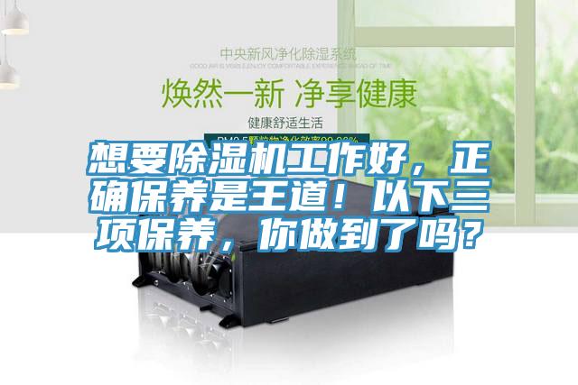 想要除濕機工作好,正確保養是王道!以下三項保養,你做到了嗎?