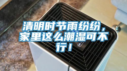 清明時節(jié)雨紛紛，家里這么潮濕可不行！