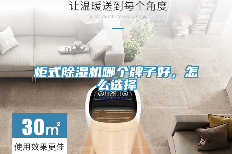 柜式除濕機(jī)哪個(gè)牌子好，怎么選擇