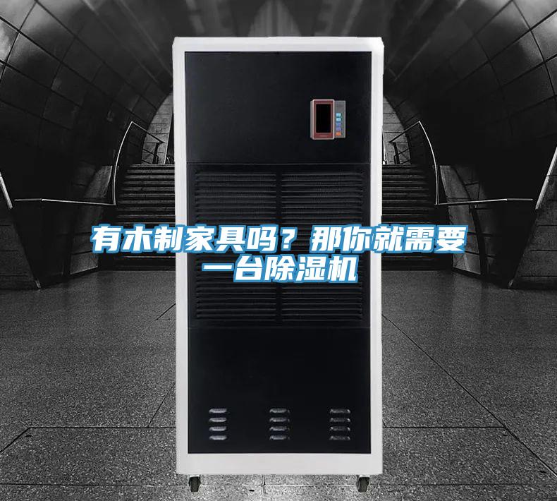 有木制家具嗎?那你就需要一臺(tái)除濕機(jī)
