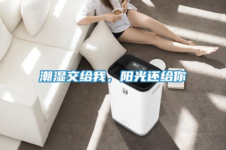 潮濕交給我,陽光還給你