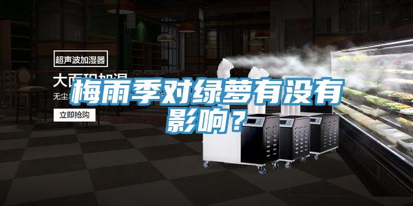 梅雨季對綠蘿有沒有影響?