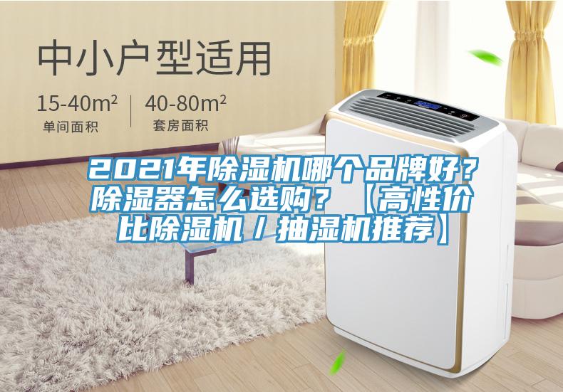 2021年除濕機哪個品牌好？除濕器怎么選購？【高性價比除濕機／抽濕機推薦】