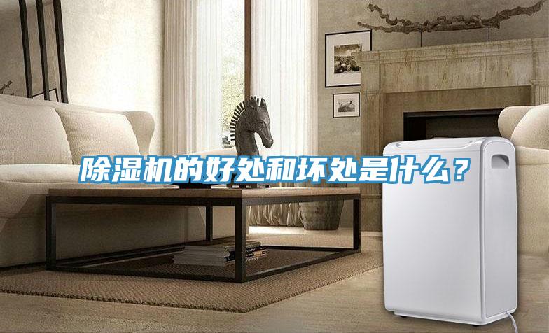 除濕機(jī)的好處和壞處是什么?
