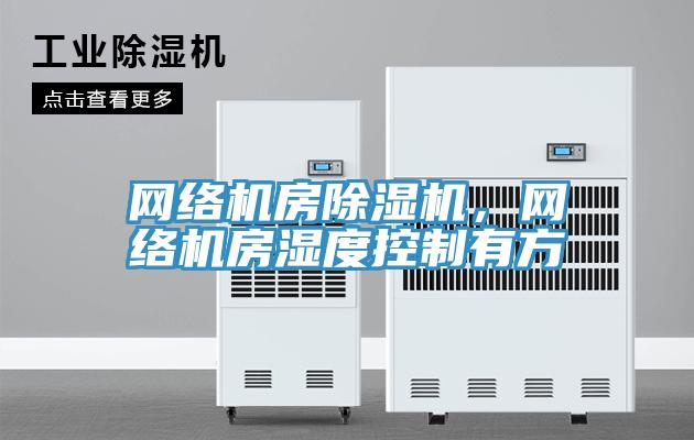 網絡機房除濕機,網絡機房濕度控制有方
