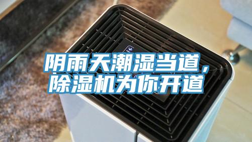 陰雨天潮濕當道,除濕機為你開道