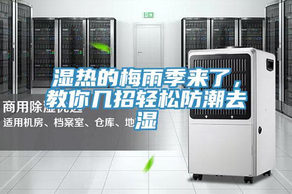 濕熱的梅雨季來了,教你幾招輕松防潮去濕