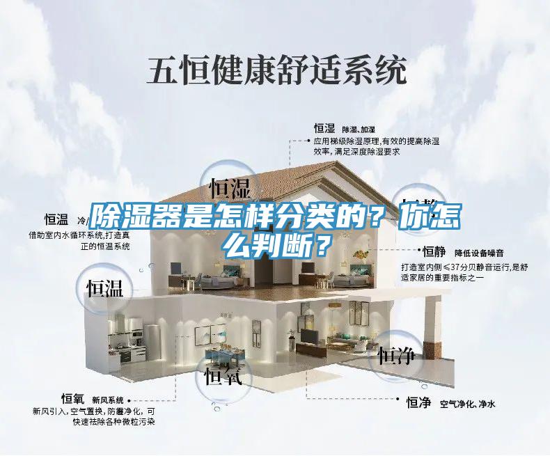 除濕器是怎樣分類的?你怎么判斷?