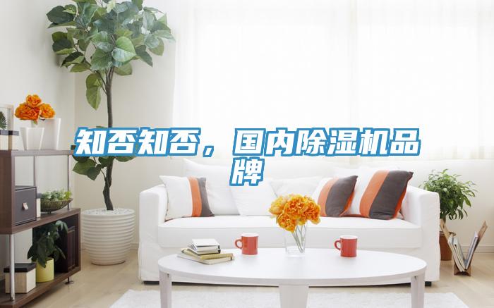 知否知否，國內(nèi)除濕機品牌
