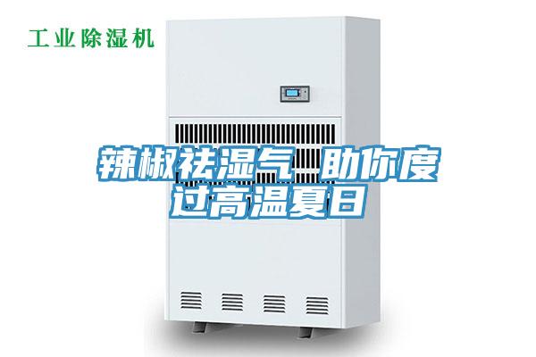 辣椒祛濕氣 助你度過高溫夏日