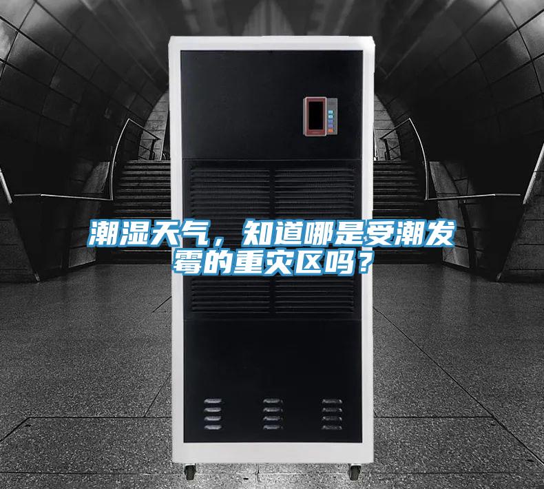 潮濕天氣,知道哪是受潮發(fā)霉的重災(zāi)區(qū)嗎?