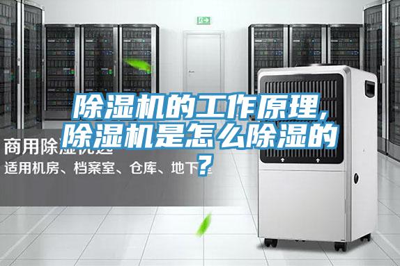 除濕機的工作原理,除濕機是怎么除濕的?