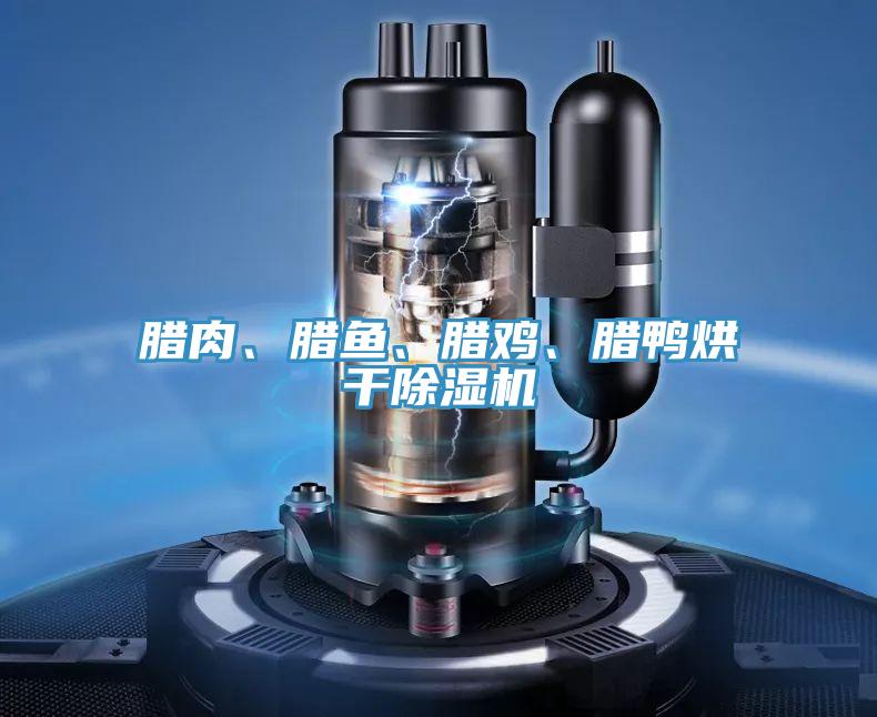 臘肉、臘魚、臘雞、臘鴨烘干除濕機(jī)