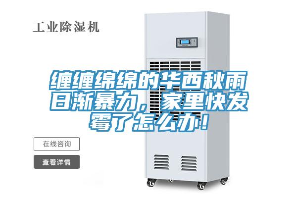 纏纏綿綿的華西秋雨日漸暴力,家里快發霉了怎么辦!