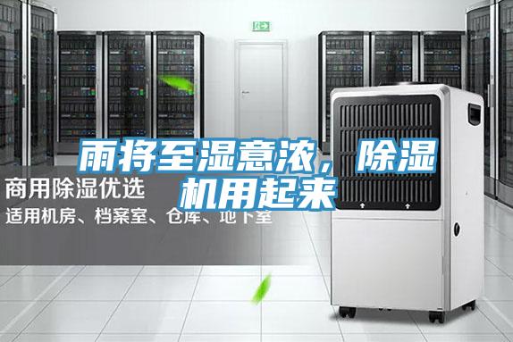 雨將至濕意濃，除濕機用起來